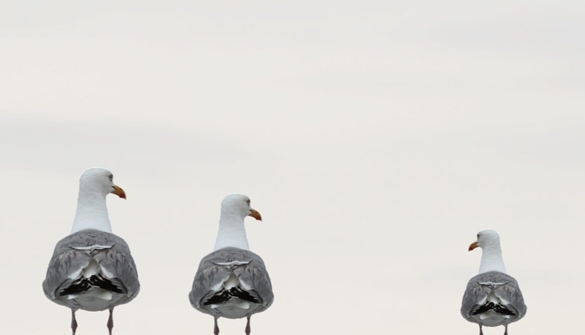 Covid-19 and Life Insurance