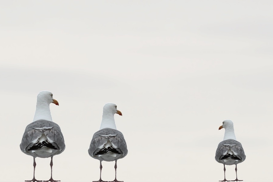 Covid-19 and Life Insurance Covid-19 and Life Insurance